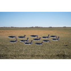GHG Pro Grade Specklebelly Tall Windsock Decoys with Heads 12 Pack